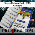 Sildenafil Oral Jelly 100Mg Kamagra 11